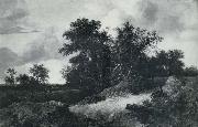 RUISDAEL, Jacob Isaackszon van House in a Grove oil painting artist